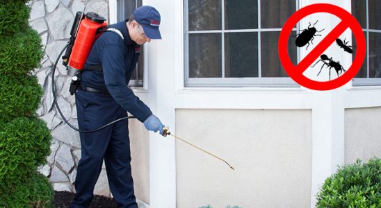 Evka 3 Böcek İlaçlama böcek ilaçlama ve haşere kontrolü — ilaclama-tr.com